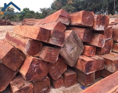 gỗ cam xe có tốt không ?