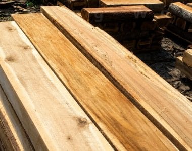 gỗ tràm tại mekongwood