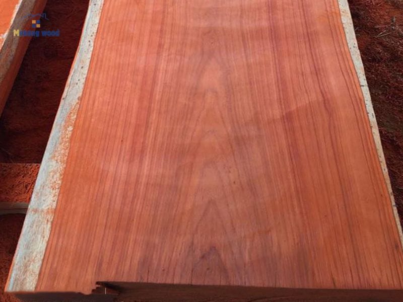 gỗ hương nhóm 1 gỗ quý tại VIỆTNAM