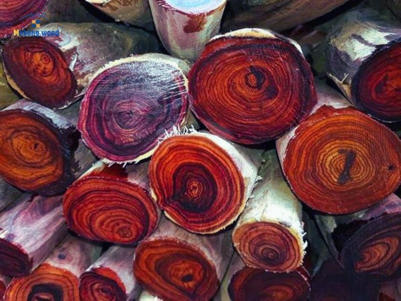 gỗ sưa thuộc nhóm 1 cực kỳ quý hiếm và giá trị