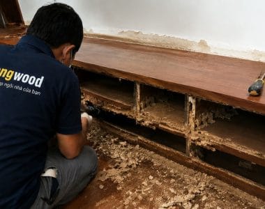 Cách trị mọt gỗ tại nhà
